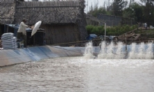 Xử lý biến động môi trường ao nuôi